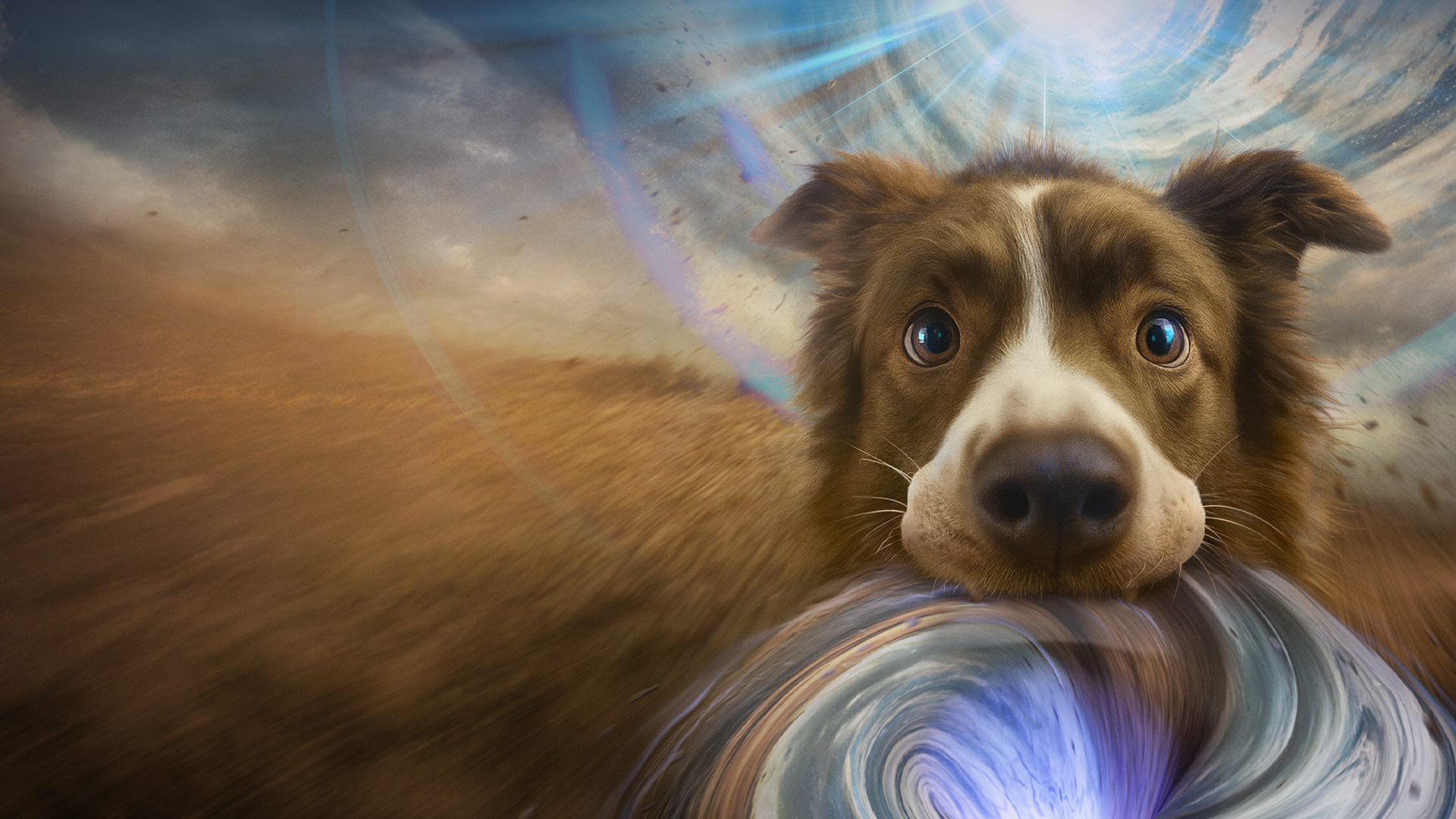 Космическая собака Лида